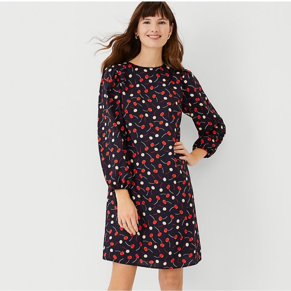 Ann Taylor Cherry Print Dress Size XS